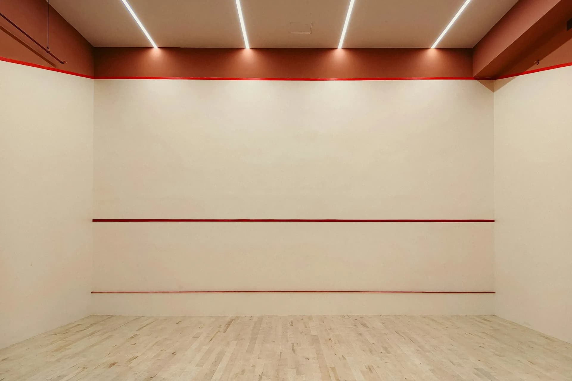 Racquetball players in action